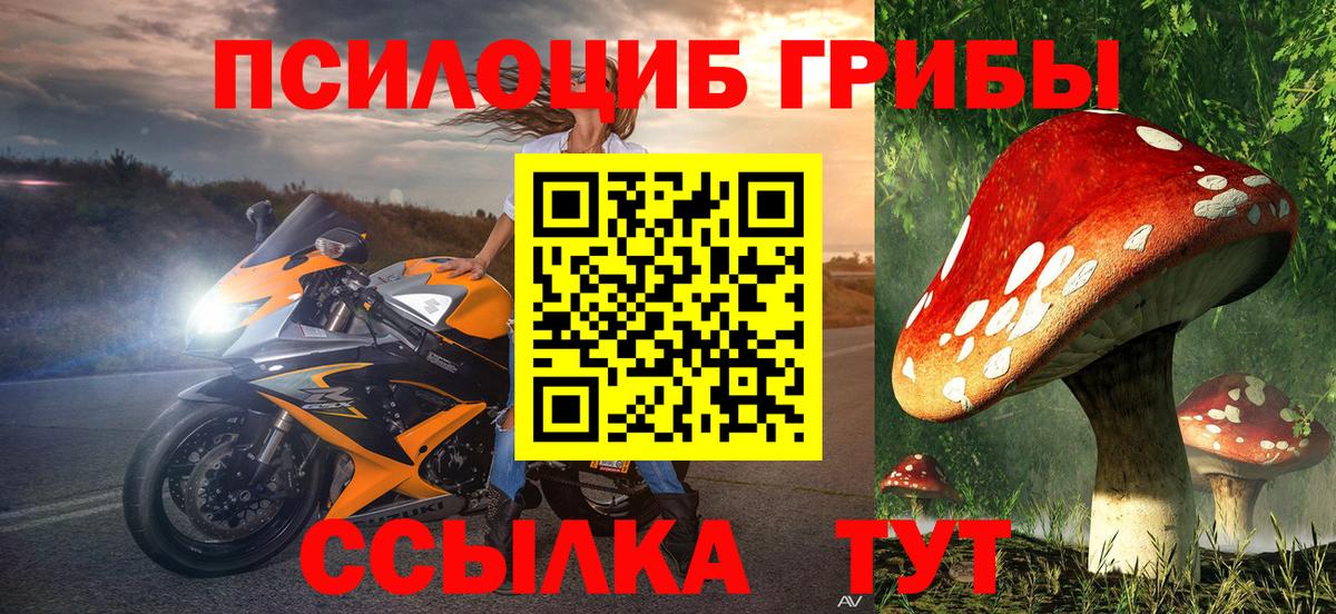 Шадринск  Псилоцибиновые грибы MAGIC MUSHROOMS  Вход с VPN 